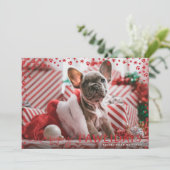 レッドハッピーパウィデイズペットラバーホリデーフォトカード シーズンカード (スタンド正面)