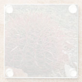 レッドバレルサボテン砂漠の植物の風景 ガラスコースター (裏面)