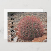 レッドバレルサボテン砂漠の植物アリゾナの挨拶 ポストカード (正面/裏面)