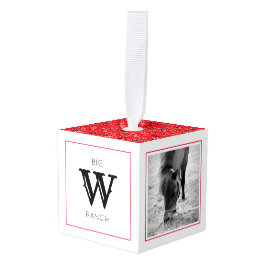 レッドバンダナホースフォトファームイニシャル名おもしろい キューブオーナメント