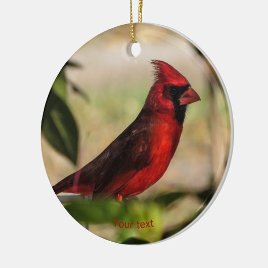 レッドバード男性(鳥)ショウジョウコウカンチョウ撮影 セラミックオーナメント (左)