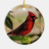 レッドバード男性(鳥)ショウジョウコウカンチョウ撮影 セラミックオーナメント (裏面)