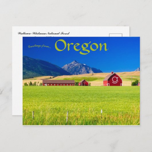 レッドバーンアットワロウアホイットマン国立森林USA ポストカード (正面/裏面)