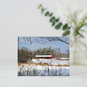 レッドバーンインウィンターニューハンプシャー写真 シーズンポストカード (スタンド正面)