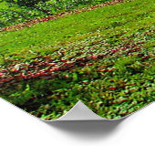 レッドバーンオンサニーサマーデー ポスター (角)