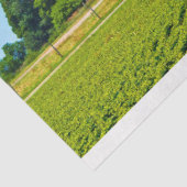 レッドバーンティッシュデコページ紙ファームフィールド 薄葉紙 (詳細)