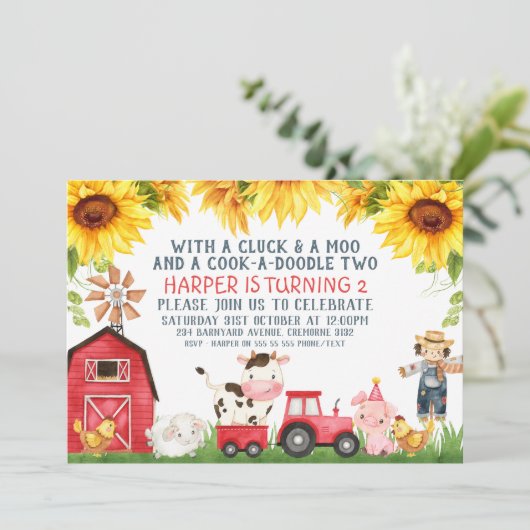 レッドバーンファームファーミヤードサンフラワーズ誕生日 招待状 (スタンド正面)