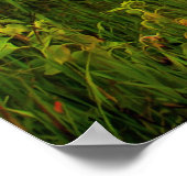 レッドバーン ポスター (角)