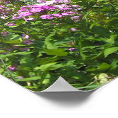 レッドバーン ポスター (角)