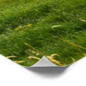 レッドバーン、干し草の葉、アルビオン、パルーズエリア2 ポスター (角)