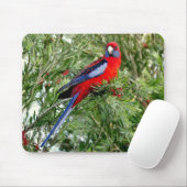 レッドパロットマウスパッド マウスパッド (マウス)
