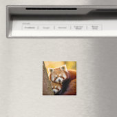 レッドパンダアニマルワイルド美しいフリーダムワイルド マグネット (インサイチュ (食洗機))