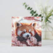 レッドパンダインズさくらんぼ シーズンカード (スタンド正面)