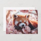 レッドパンダインズさくらんぼ シーズンポストカード (正面/裏面)