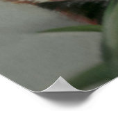 レッドパンダパステル絵画のアートワーク ポスター (角)