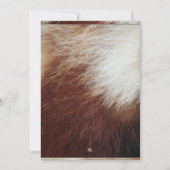 レッドパンダパーティの招待状 招待状 (裏面)