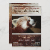 レッドパンダパーティの招待状 招待状 (正面/裏面)