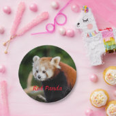 レッドパンダベア ペーパープレート (パーティー)