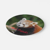 レッドパンダベア ペーパープレート (アングル)