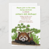 レッドパンダ子供の誕生日パーティの招待状 招待状 (正面/裏面)