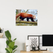 レッドパンダ歩くオンブランチ ポスター (ホームオフィス)