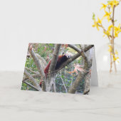 レッドパンダ カード (黄色い花)