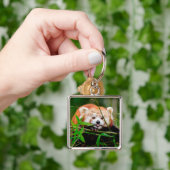 レッドパンダ キーホルダー (手)