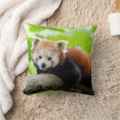 レッドパンダ クッション (ブランケット)
