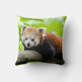 レッドパンダ クッション (裏面)