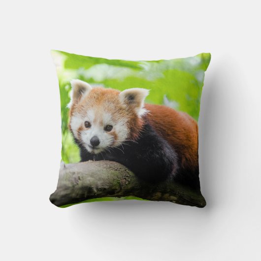 レッドパンダ クッション (正面)