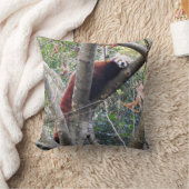 レッドパンダ クッション (ブランケット)