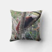 レッドパンダ クッション (裏面)