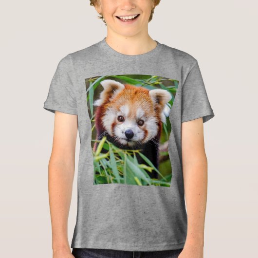 レッドパンダ トライブレンドＴシャツ (正面)