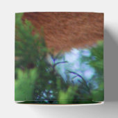 レッドパンダ フェイバーボックス (上部)