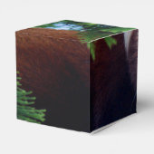 レッドパンダ フェイバーボックス (裏面サイド)