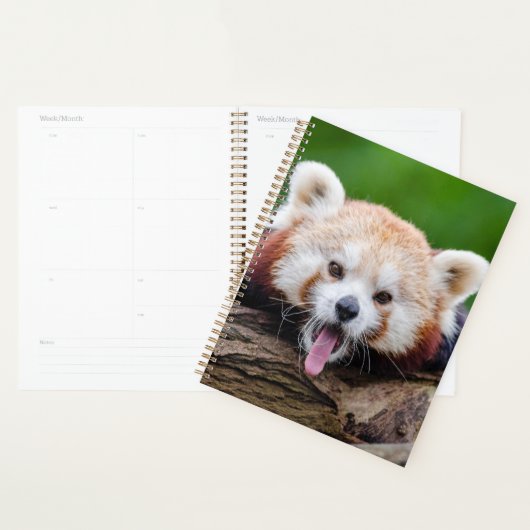 レッドパンダ プランナー手帳 (ディスプレー)