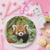 レッドパンダ ペーパープレート (パーティー)