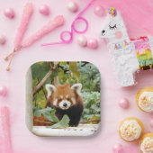 レッドパンダ ペーパープレート (パーティー)