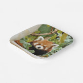 レッドパンダ ペーパープレート (傾斜あり)