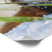 レッドパンダ ポスター (角)