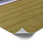 レッドパンダ ポスター (角)