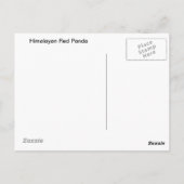 レッドパンダ ポストカード (裏面)