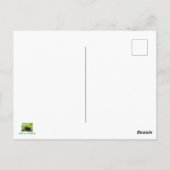 レッドパンダ ポストカード (裏面)