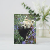 レッドパンダ ポストカード (スタンド正面)