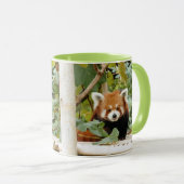 レッドパンダ マグカップ (正面右)