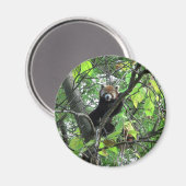 レッドパンダ マグネット (正面/裏面)