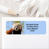 レッドパンダ ラベル (インサイチュ)