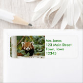 レッドパンダ ラベル (インサイチュ)