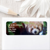 レッドパンダ ラベル (インサイチュ)