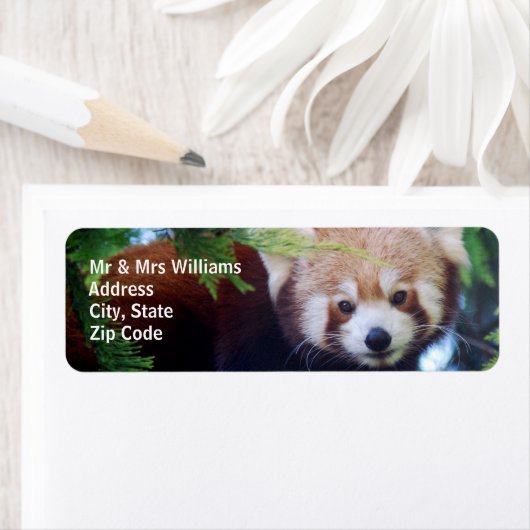 レッドパンダ ラベル (インサイチュ)